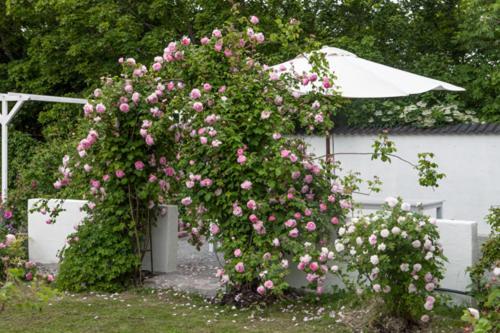 Vallby Cottage Enköping Exteriér fotografie
