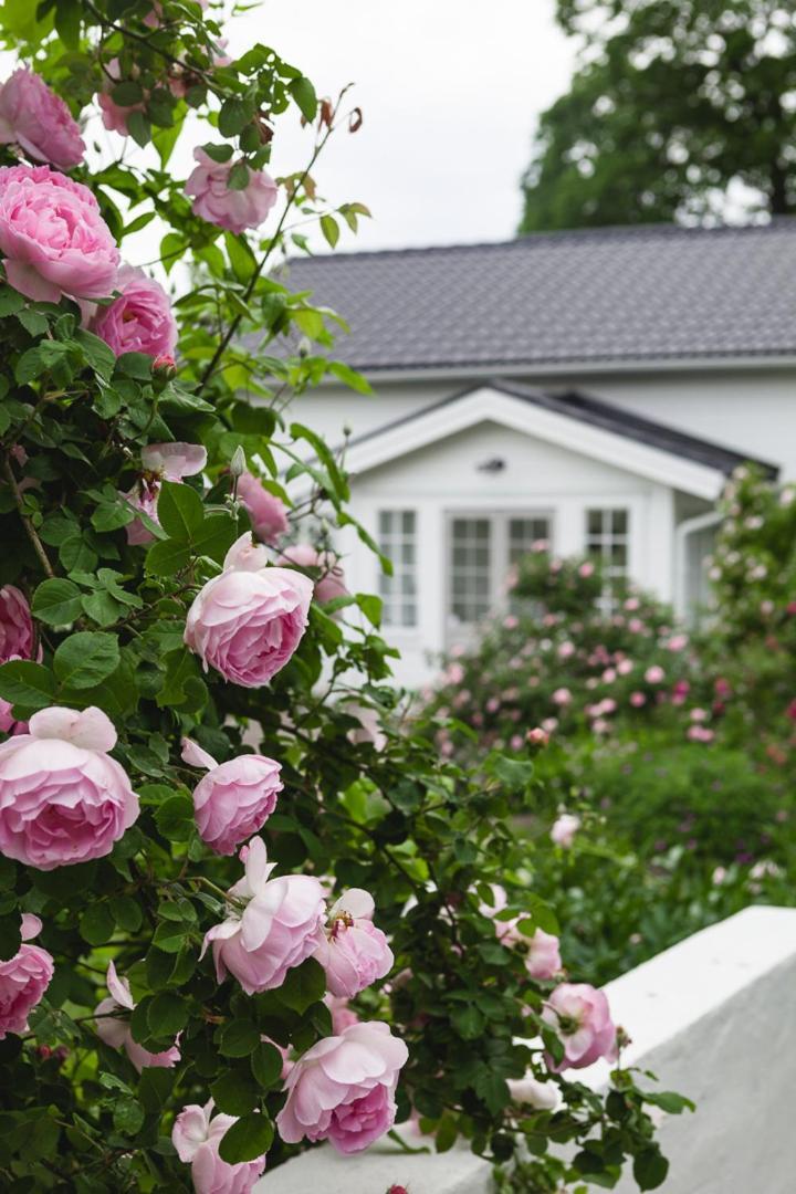 Vallby Cottage Enköping Exteriér fotografie